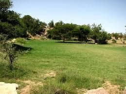 عبد الهادي  العمري gallery image 4
