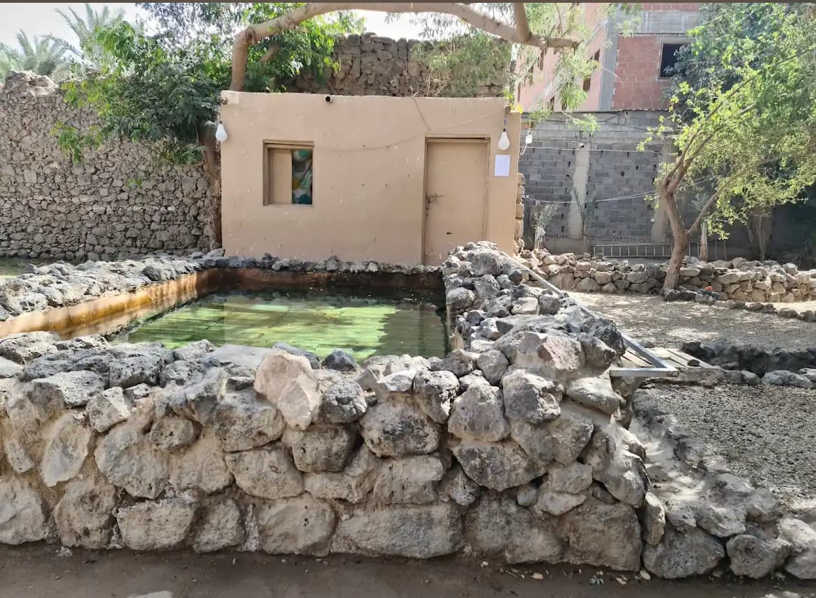 المدينة المنورة: رحلة من العُلا إلى طيبة