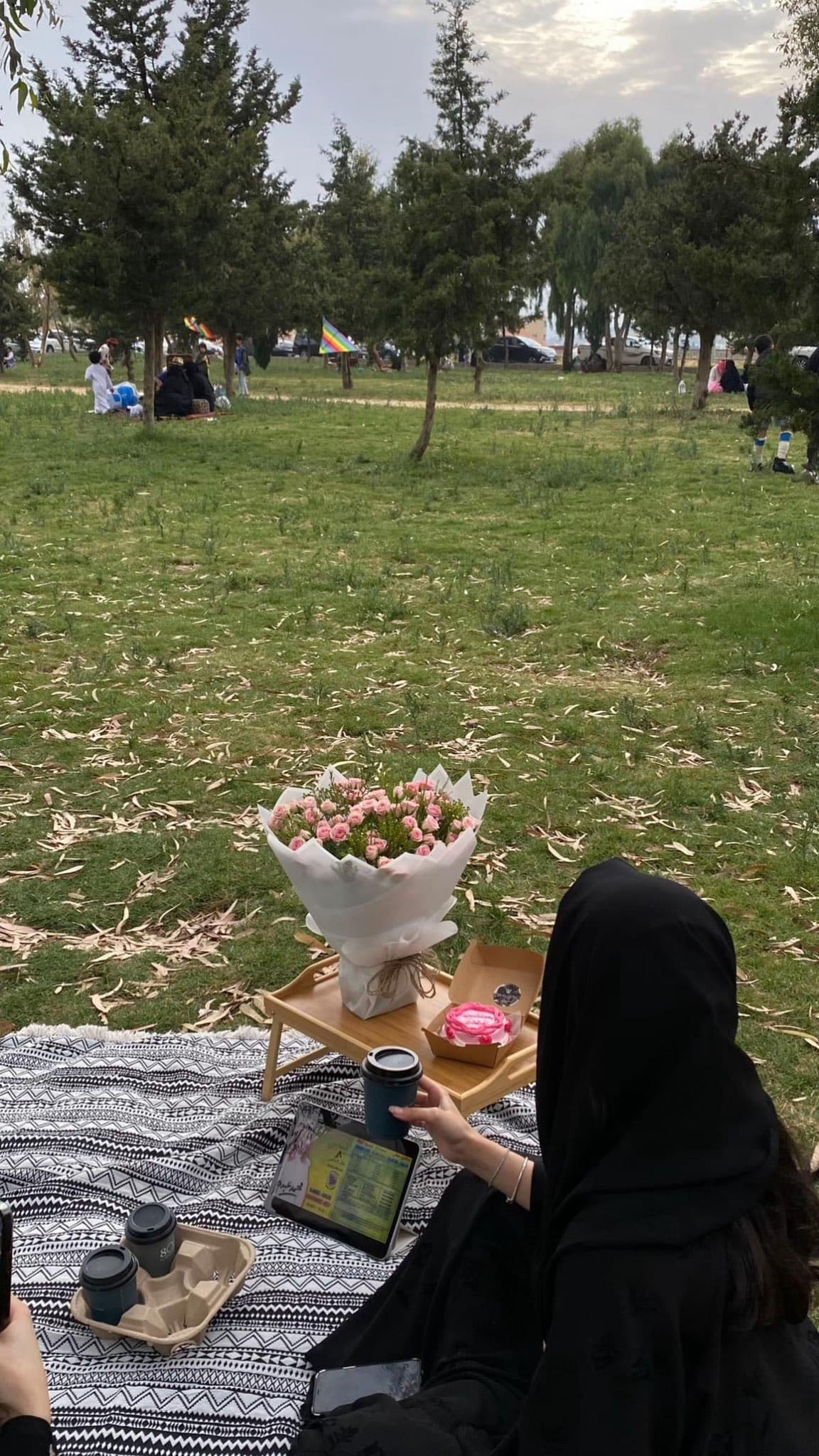 النماص وتنومة: جولة سياحية ليومين
