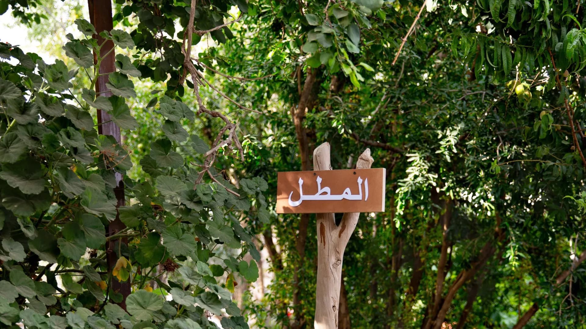 أبها: تذاكر دخول مزرعة الليوان مع نقل
