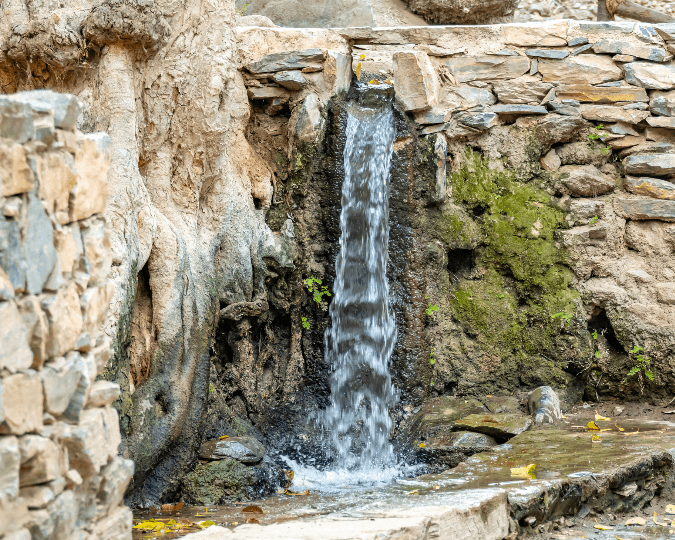 رحلة في قرية ذي عين التراثية 