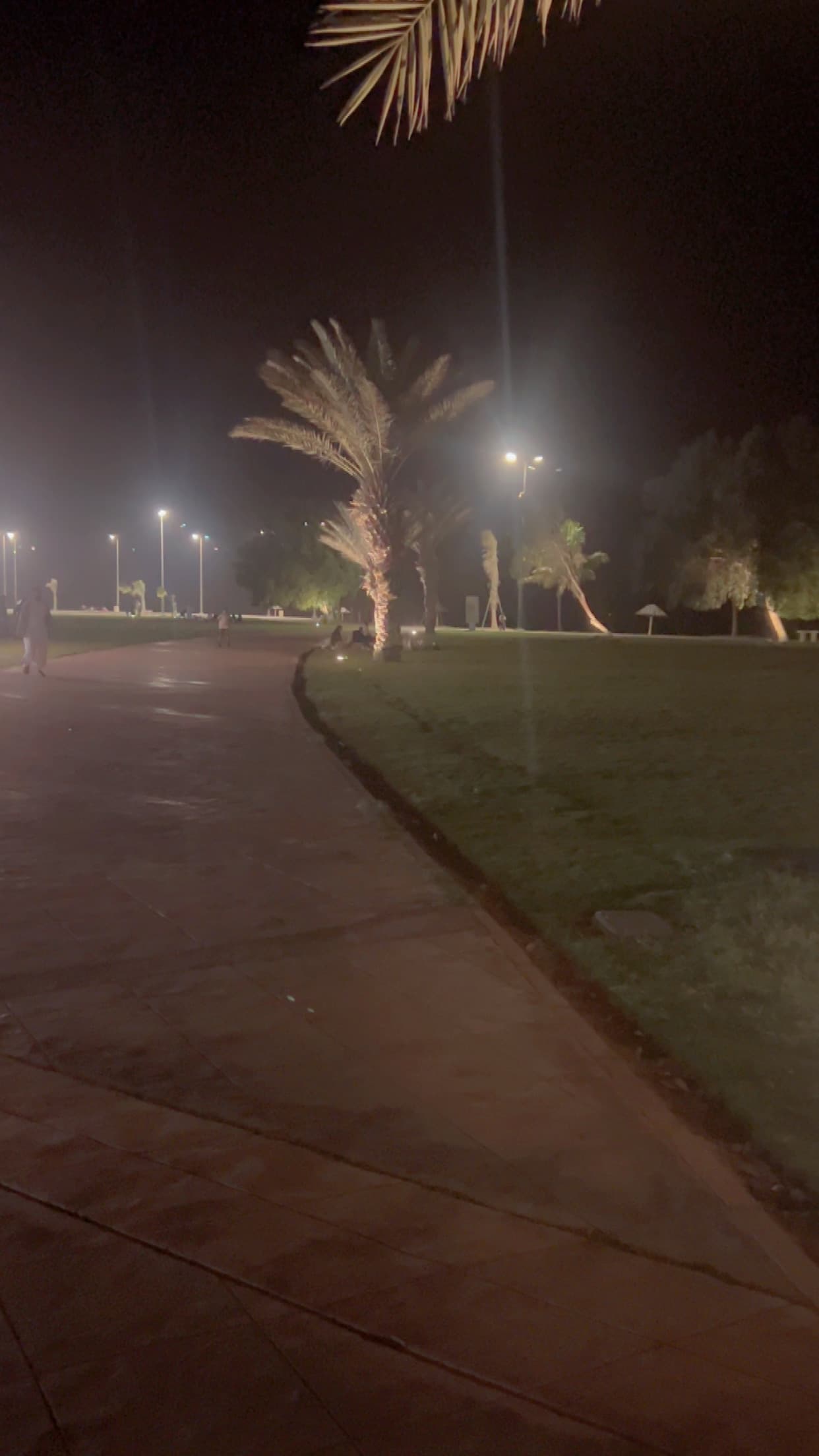 مرام  الحربي gallery image 5