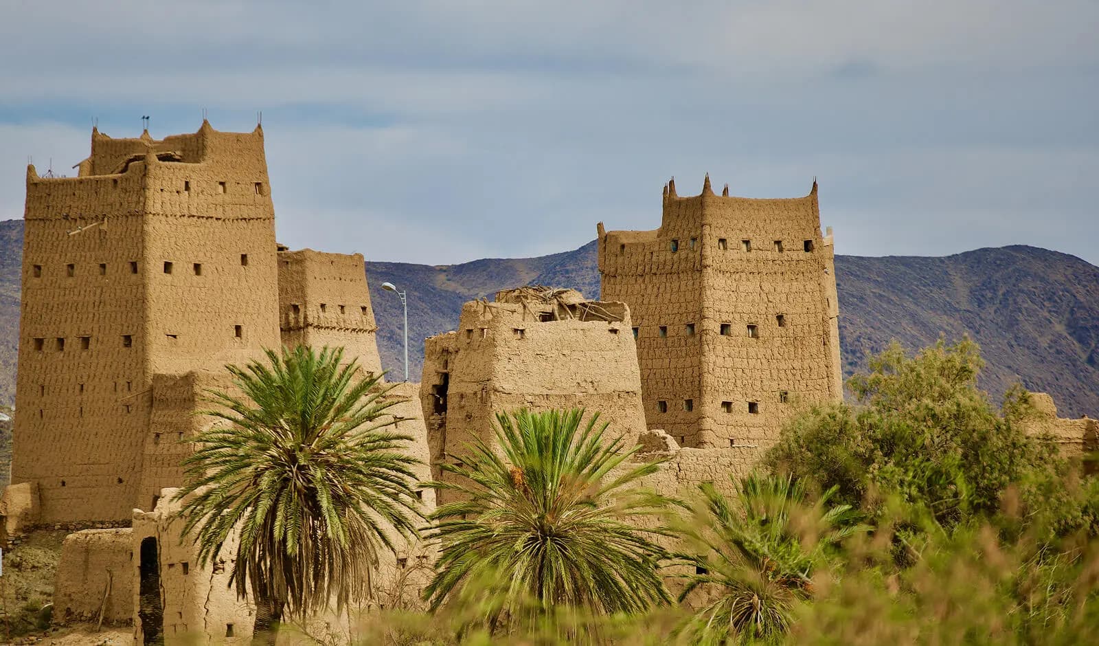 أبها: جولة موسم الجاكرندا (البنفسج)