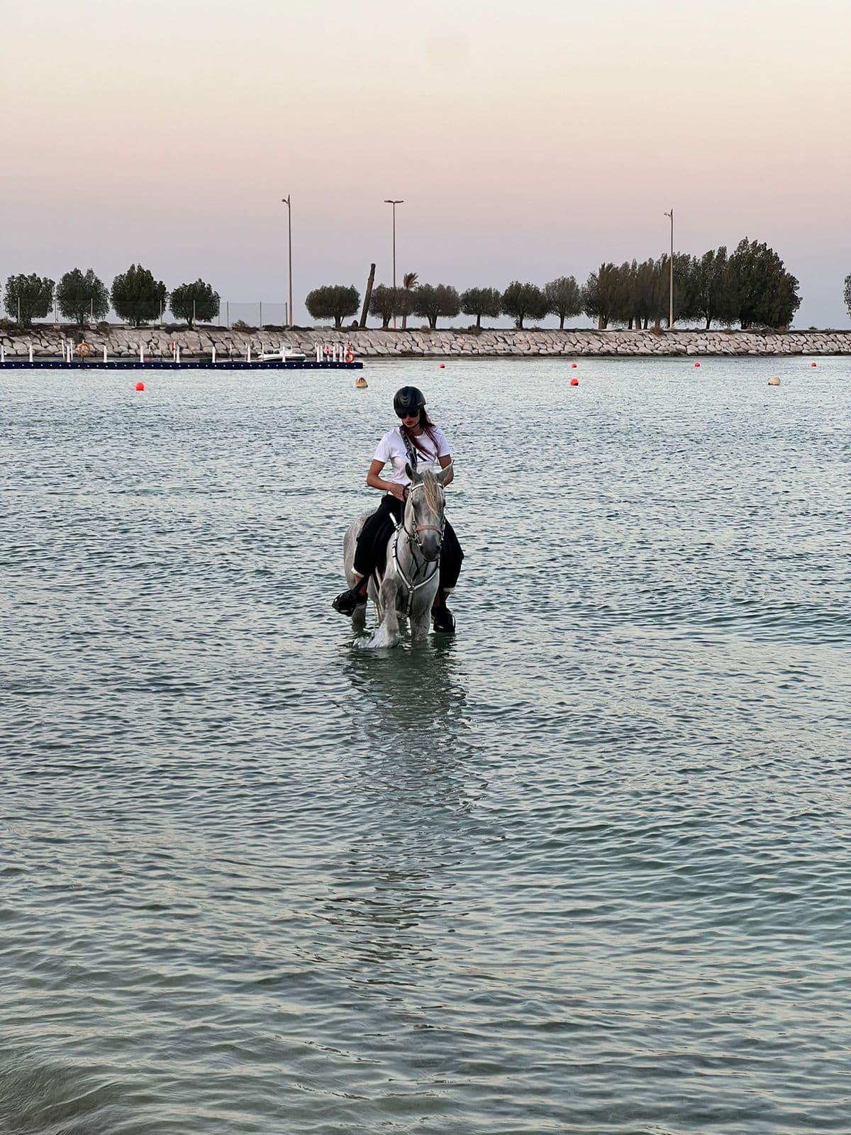 الخبر:ركوب الخيل على الشاطيء