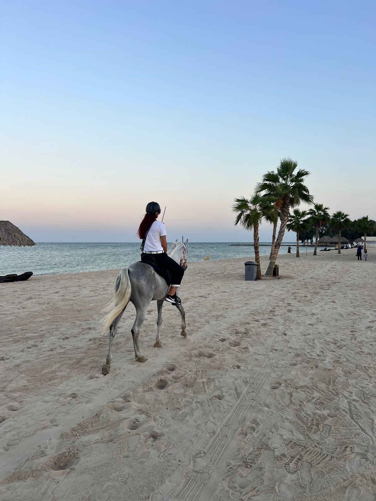 الخبر:ركوب الخيل على الشاطيء