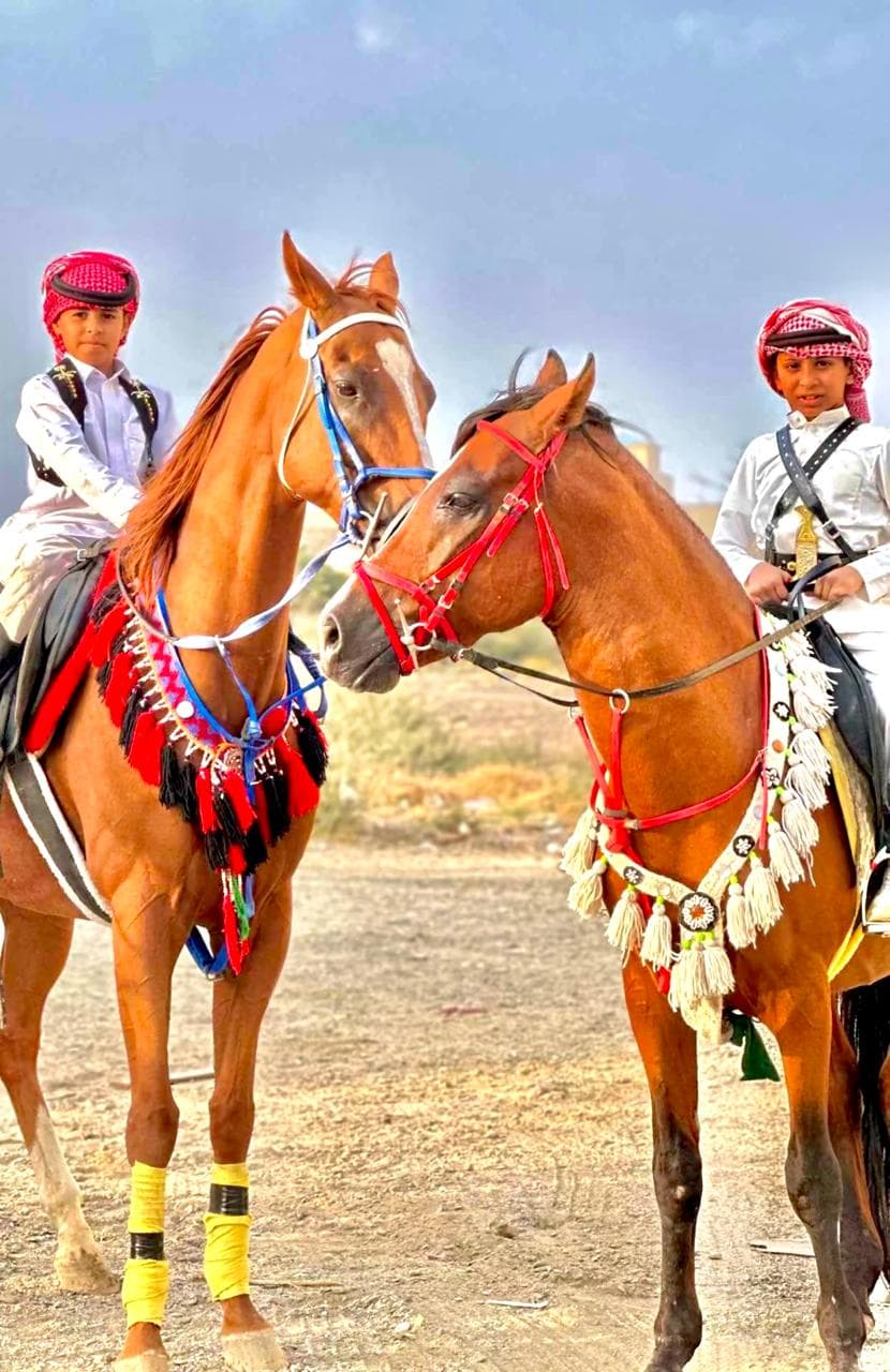 الباحة:تجربة ركوب الخيل في مركز فال العز للفروسية
