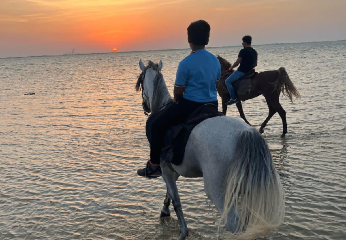 الخبر:ركوب الخيل على الشاطيء