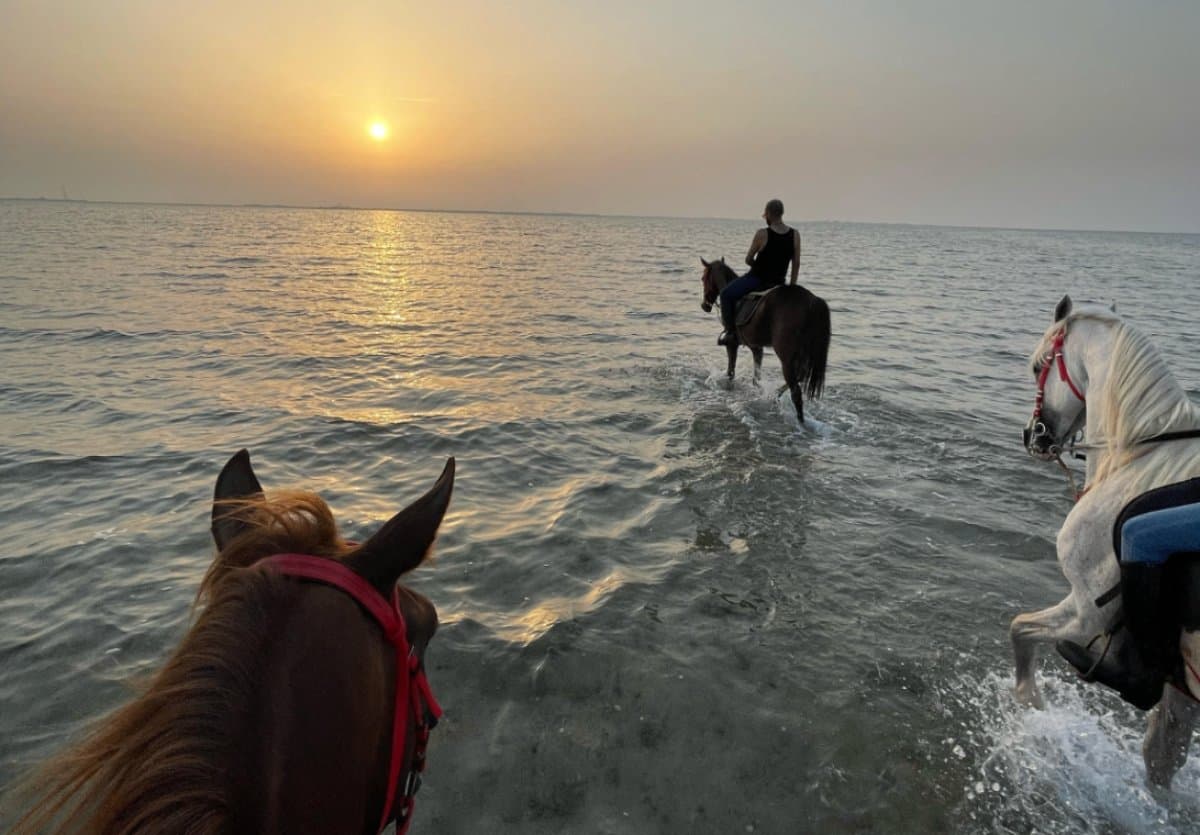 الخبر:ركوب الخيل على الشاطيء