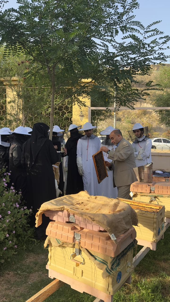 الباحة: أسرار النحل والعسل في السياحة النحلية 