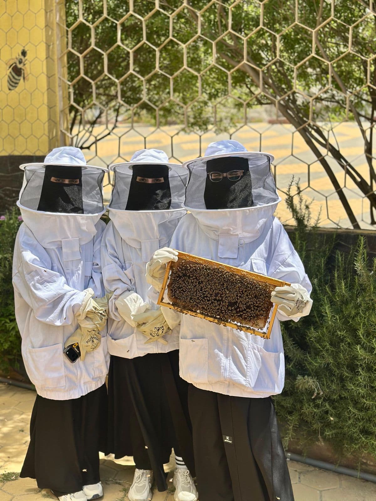 الباحة: أسرار النحل والعسل في السياحة النحلية 