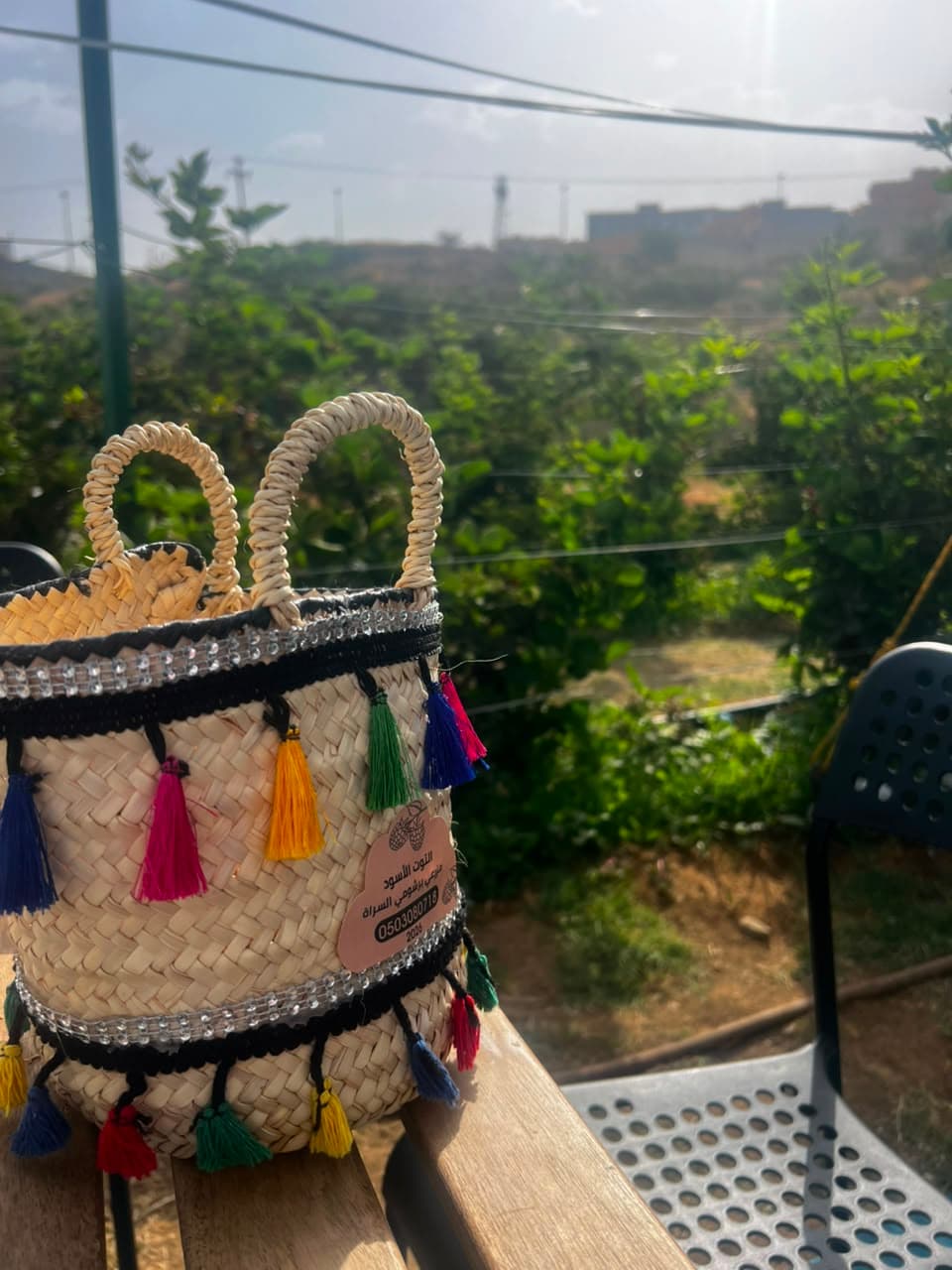 الباحة: تجربة ريفية من قطف التوت إلى الآيسكريم