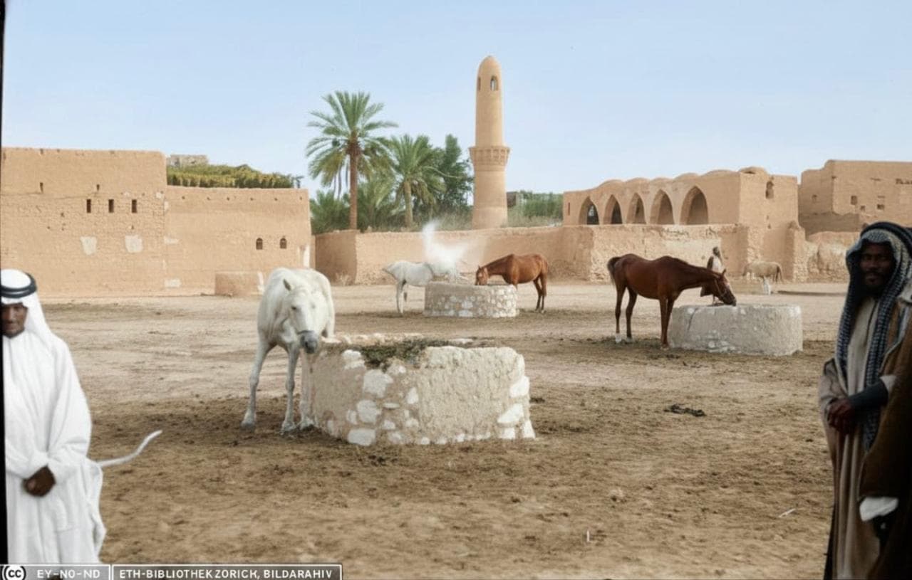 الأحساء:سوق القصرية وجبل القارة