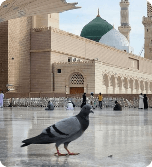المدينة المنورة: جولة مزارات المدينة المنورة بدون مرشد