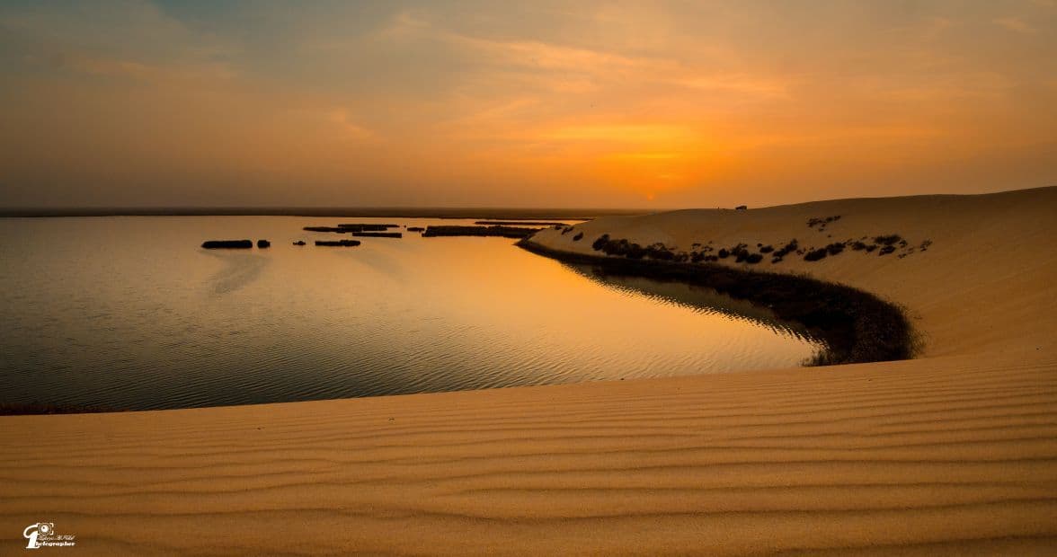 رحلة نسائية من الرياض الى الاحساء ليلتان مع النقل – للسيدات فقط