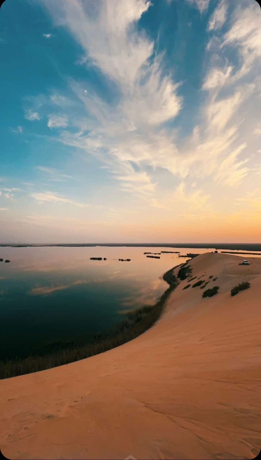 الأحساء:مغامرة السفاري وسط بحيرة الأصفر