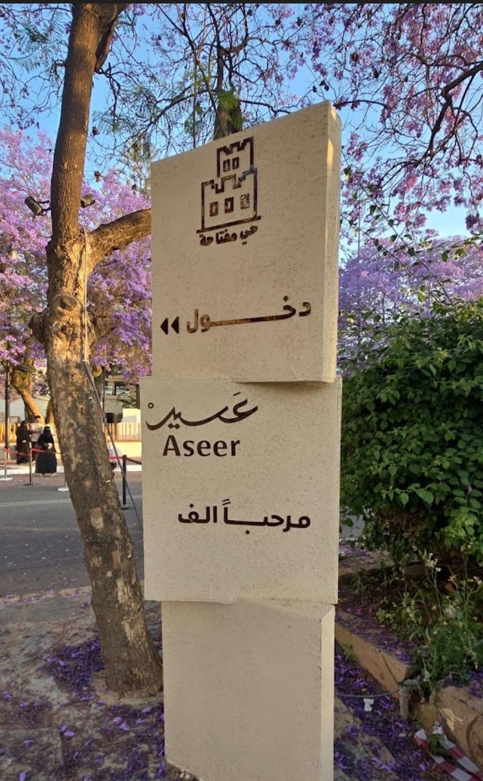 أبها: جولة يوم كامل في المدينة والثقافة